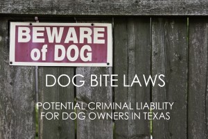 Texas Dog Bite Laws Dangerous Dog