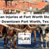 Longhorn cattle being driven along a cobblestone street at the Fort Worth Stockyards, with pedestrians nearby, highlighting the unique hazards for pedestrians in busy tourist areas.